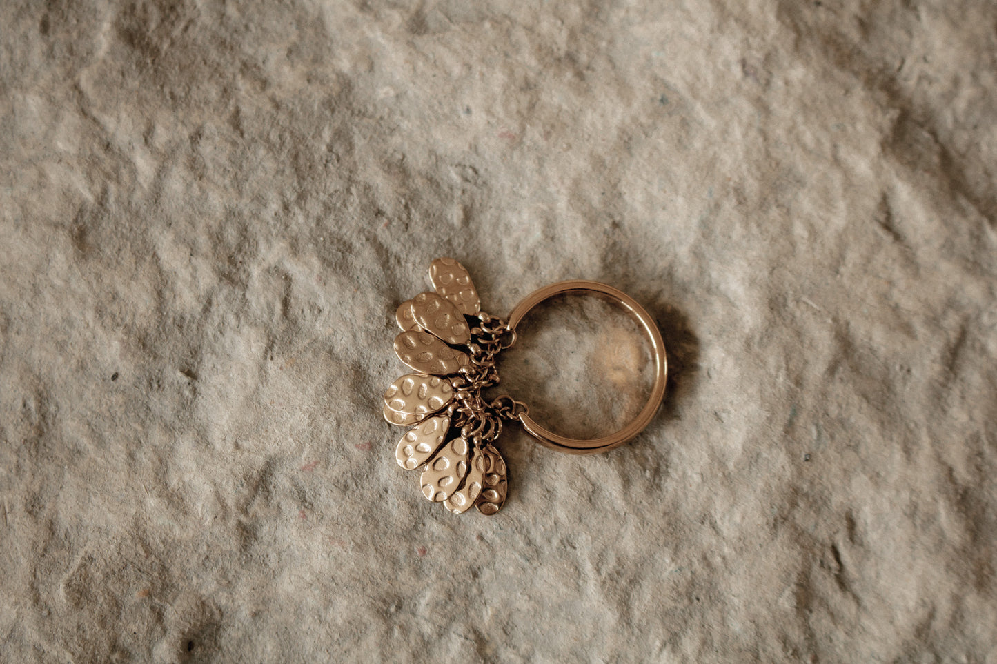 dani ring