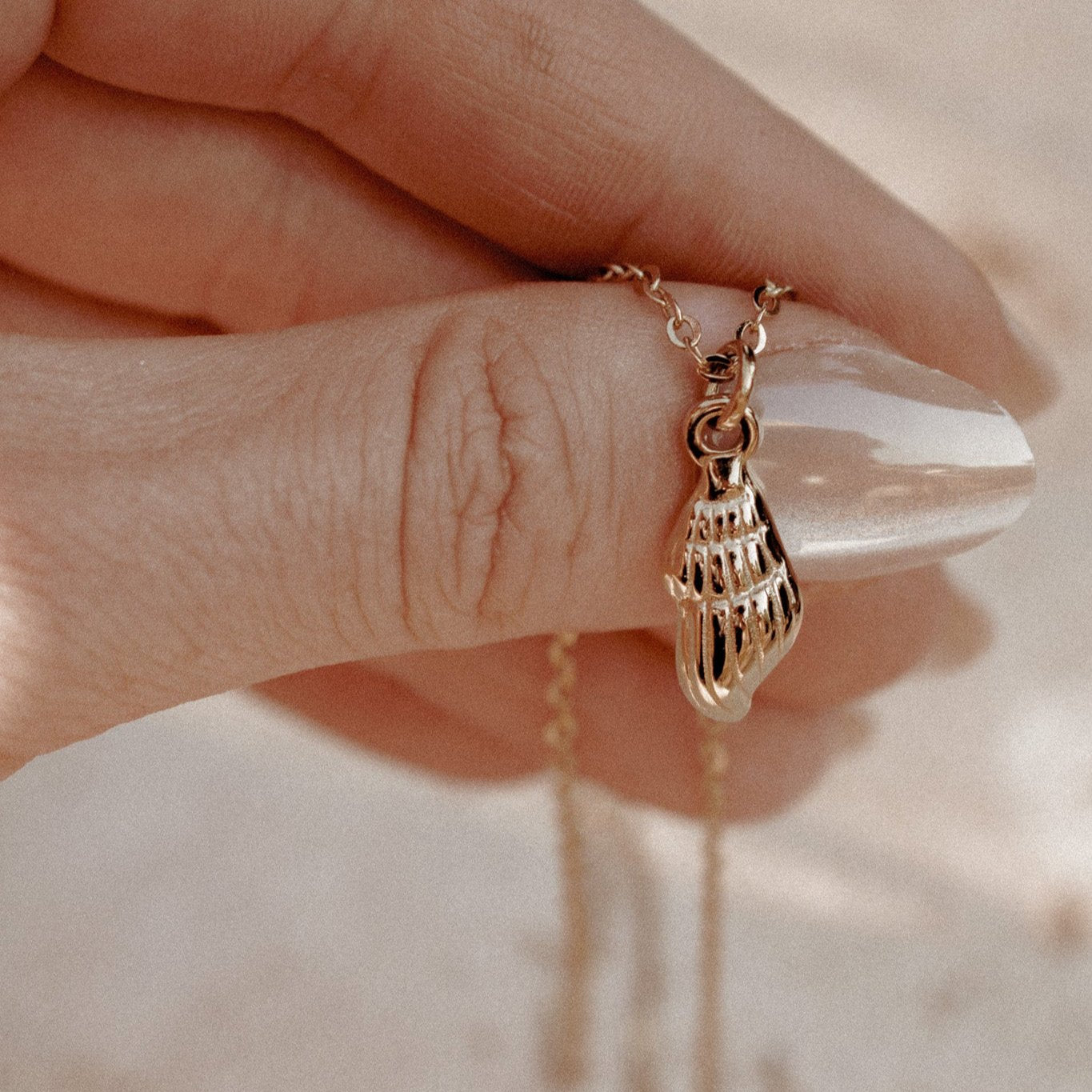 seashell necklace