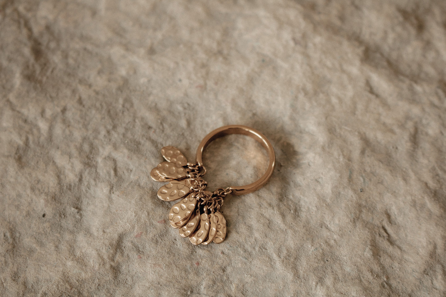 dani ring